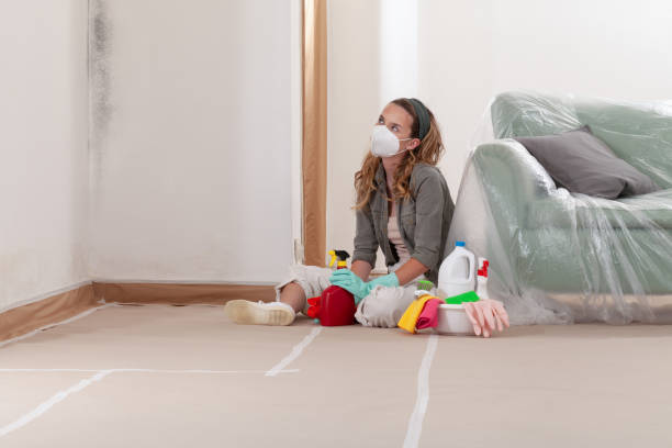 Reliable Mold Remediation contractor in Hallandale, FL by WQB Mold Removal